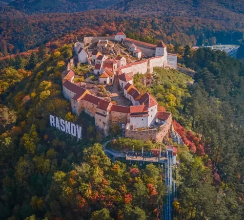 313202677_1108525763140092_3481261955860839482_n.webp-jpg